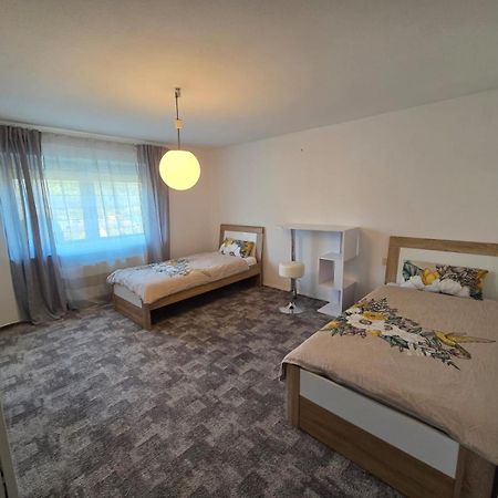 Ferienwohnung Freudenberg Freudenberg am Main Eksteriør billede
