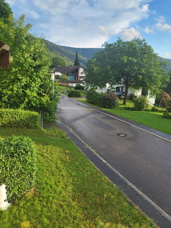 Ferienwohnung Freudenberg Freudenberg am Main Eksteriør billede